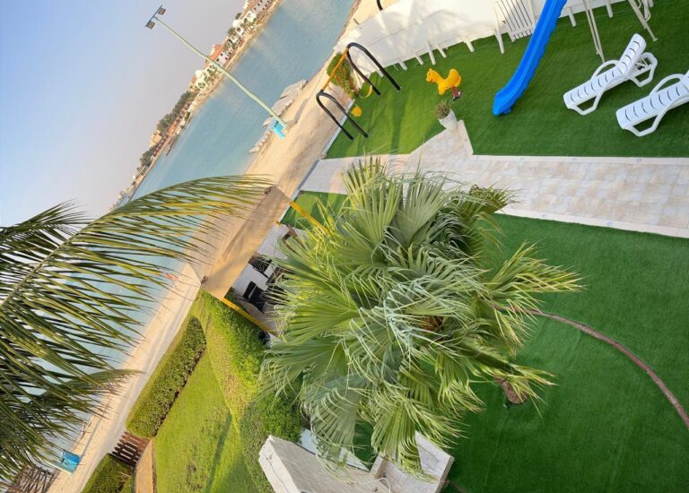 WhatsApp Image 2025-04-13 at 11.41.36 AM