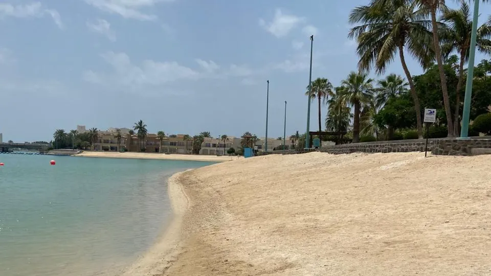 الحالمة في درة العروس 